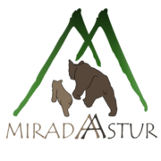 (c) Miradaastur.es